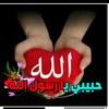 elsayednahed